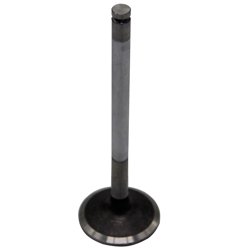 Perfect replacement for Doosan Engine GE08TI Original - 1 Set Intake Valves 65.04101-0041 65.041010041 65041010041 6504101-0041 65.04101-0041-N