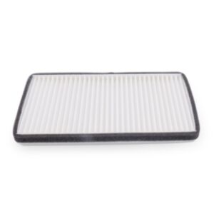 10873 AC Filter online