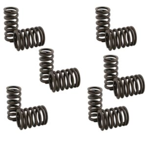 BUY 12 Pcs Valve Spring 3900276 3926700 for Cummins 6B 6BT 6BTA 5.9 in USA for sale