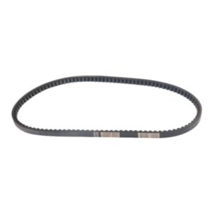 8445 Fan Belt