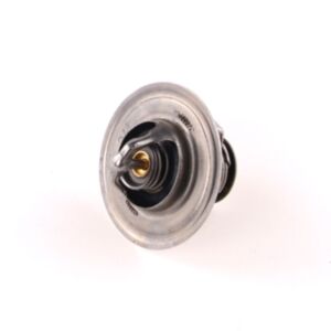 19805 Thermostat online