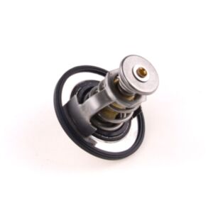 19819 Thermostat online