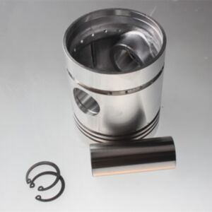 1 Piece New Piston 750-41610 75041610 for Lister Petter online