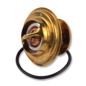 20986 Thermostat online