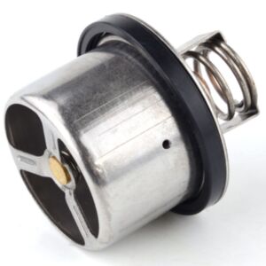 20989 Thermostat online