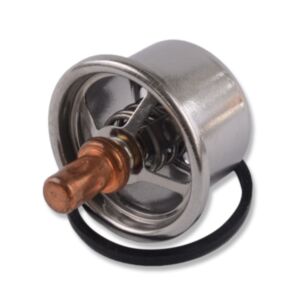 20990 Thermostat online
