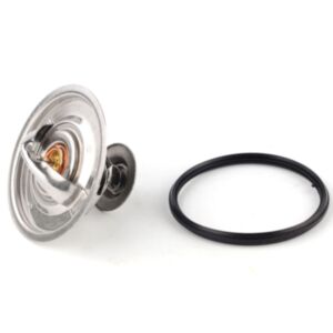 20995 Thermostat online