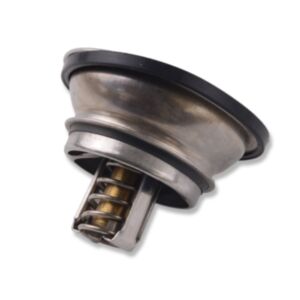 20998 Thermostat online