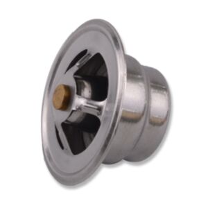 20999 Thermostat online