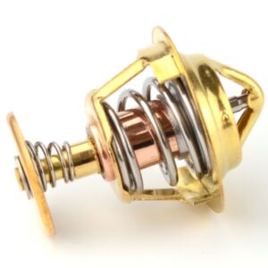 21000 Thermostat online