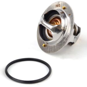21002 Thermostat online