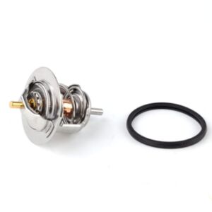 21003 Thermostat online