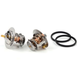 21004 Thermostat online