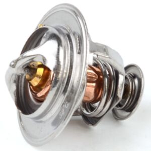 21005 Thermostat online