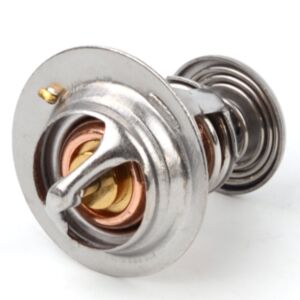21006 Thermostat online