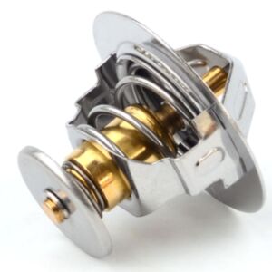 21007 Thermostat online
