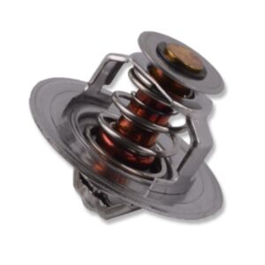 21008 Thermostat online