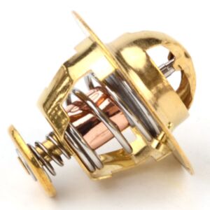 21009 Thermostat online
