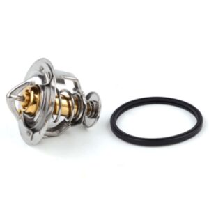21010 Thermostat online