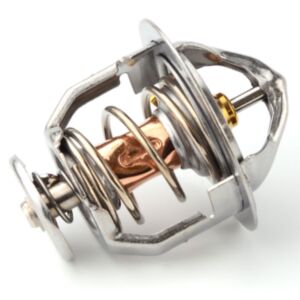 21011 Thermostat online