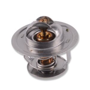 21015 Thermostat online