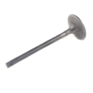 24247 Enging Valve online