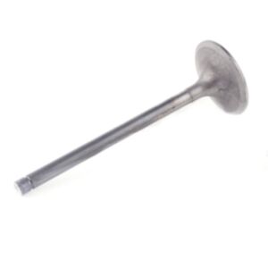 24248 Enging Valve online