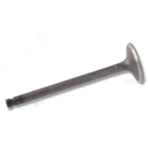 24470 Enging Valve online