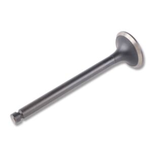 24476 Enging Valve online