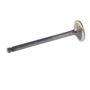 24486 Enging Valve online