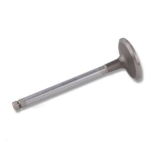 24489 Enging Valve online