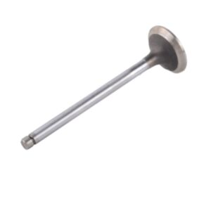 24504 Enging Valve online