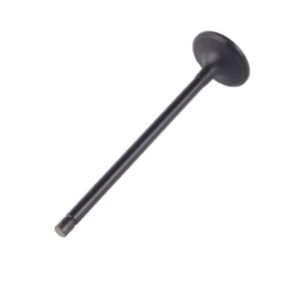 24505 Enging Valve online