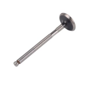 24508 Enging Valve online