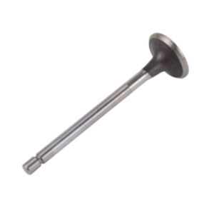 24532 Enging Valve online