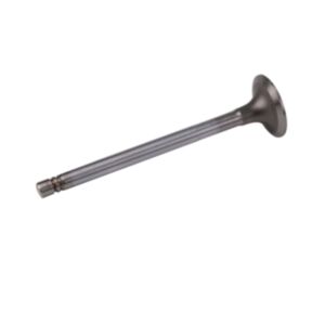 24535 Enging Valve online