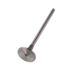 24543 Enging Valve online