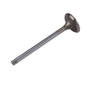 24552 Enging Valve online