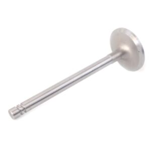 24553 Enging Valve online