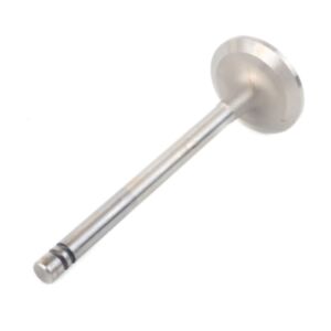 24554 Enging Valve online