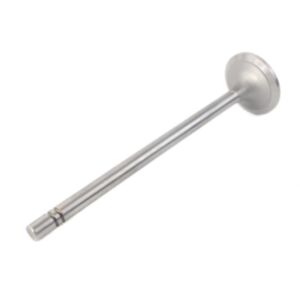 24561 Enging Valve online