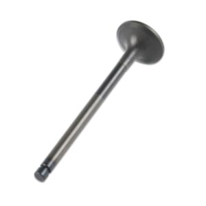 24572 Enging Valve online