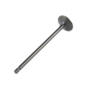 24573 Enging Valve online