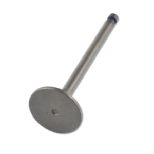 24589 Enging Valve online