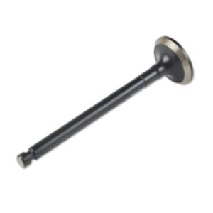 24592 Enging Valve online