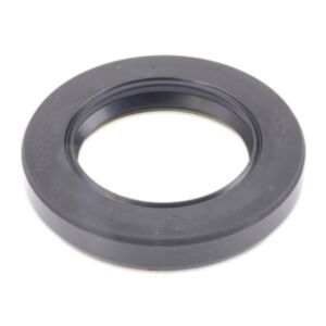 25243 Skeleton Oil Seal online
