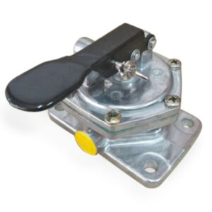 25701 Injection Pump Assembly online