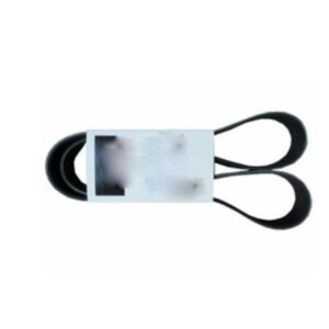 BUY V Ribbed Belt 3101314 for Cummins X15 ISX ISX15 ISZ13 QSX11.9 Engine for sale