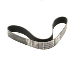 BUY V Ribbed Belt 3681796 for Cummins X15 ISX15 QSX15 Engine 12PK for sale
