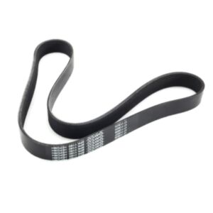 8PK1180 Fan Belt 26031 online
